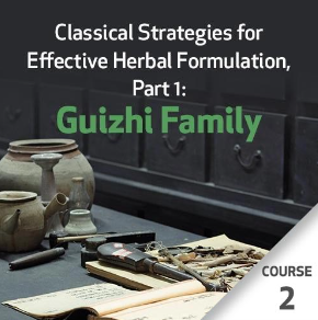 Classical Strategies for Effective Herbal Formulation, Part 1: Guizhi Family - Course 2