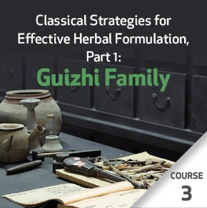 Classical Strategies for Effective Herbal Formulation, Part 1: Guizhi Family - Course 3