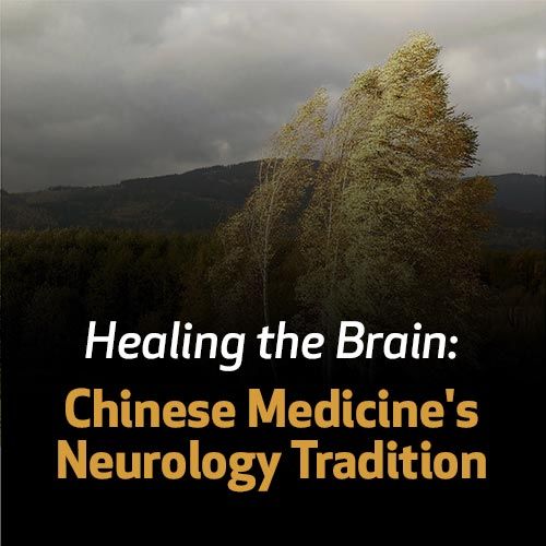 Healing the Brain: Chinese Medicine's Neurology Tradition
