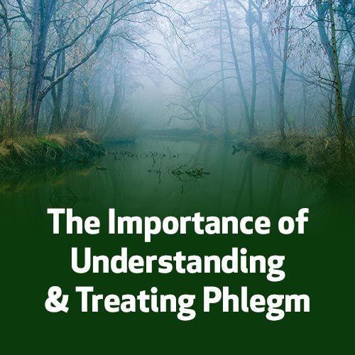The Importance of Understanding & Treating Phlegm