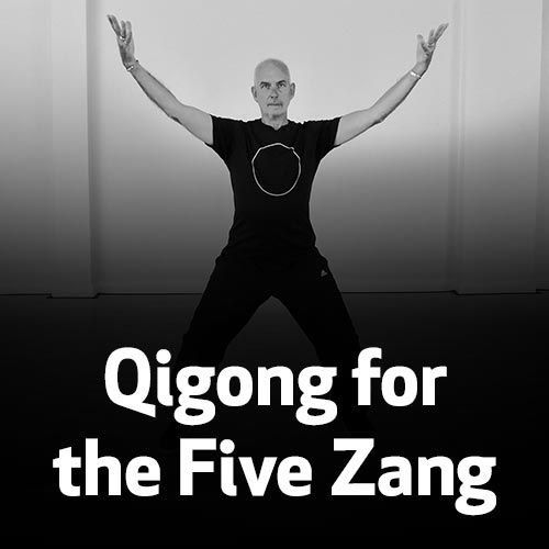 Qigong for the Five Zang