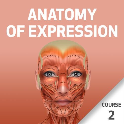 Anatomy of Expression - Course 2