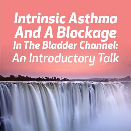 Intrinsic Asthma and a Blockage in the Bladder Channel: An Introductory Talk