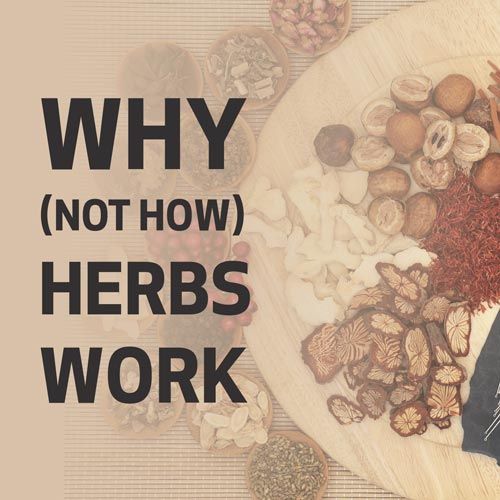 Why (Not How) Herbs Work