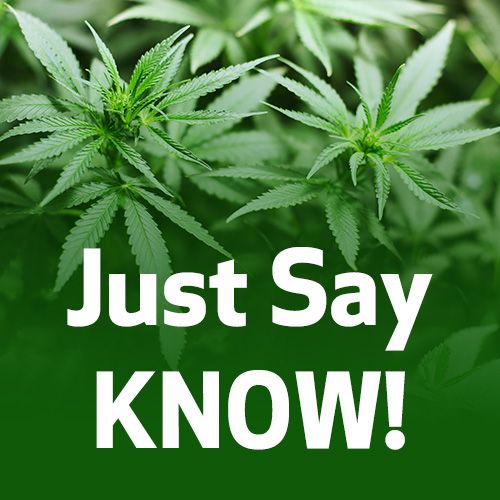 Just Say Know!