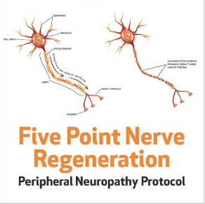 Five Point Nerve Regeneration Peripheral Neuropathy  Protocol