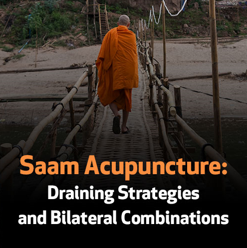 Saam Acupuncture: Draining Strategies and Bilateral Combinations