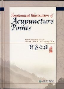 Anatomical Illustration of Acupuncture Points 