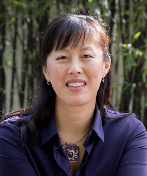 Single Systems: Balance System Acupuncture - Level 1