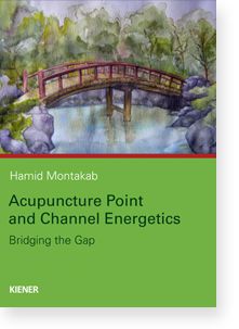 Acupuncture Point and Channel Energetics