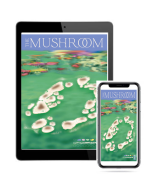The Mushroom - Issue 2 - eBook format
