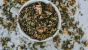 The Qi Of Tea