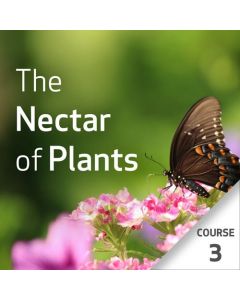The Nectar of Plants: Essential Oils and Chinese Medicine Series - Course 3