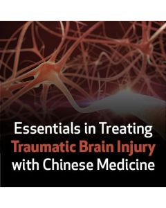 Essentials in Treating Traumatic Brain Injury with Chinese Medicine