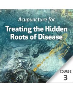 Acupuncture for Treating the Hidden Roots of Disease - Course 3
