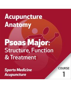 Acupuncture Anatomy Series - Course 1