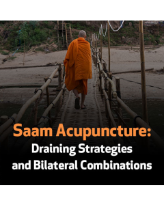 Saam Acupuncture: Draining Strategies and Bilateral Combinations