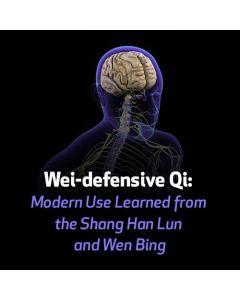Wei-defensive Qi: Modern Use Learned from the Shang Han Lun and Wen Bing