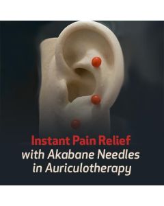 Instant Pain Relief with Akabane Needles in Auriculotherapy