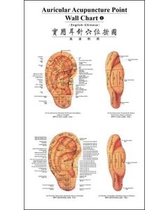 Auricular Acupuncture Point Wall Chart Set