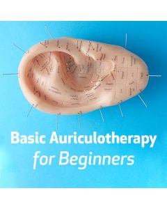 Basic Auriculotherapy for Beginners