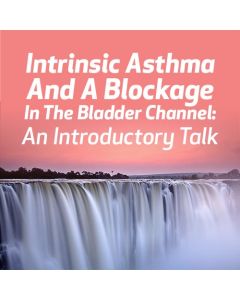 Intrinsic Asthma and a Blockage in the Bladder Channel:  An Introductory Talk