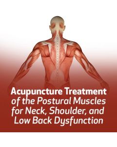 Acupuncture Treatment of the Postural Muscles for Neck, Shoulder, and Low Back Dysfunction