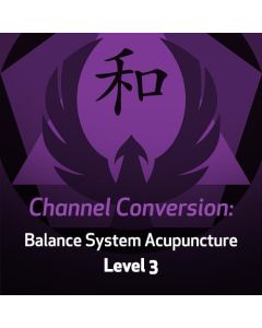 Channel Conversion: Balance System Acupuncture - Level 3