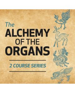 The Alchemy of the Organs