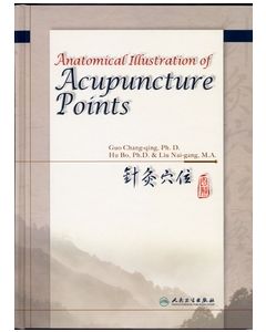 Anatomical Illustration of Acupuncture Points 