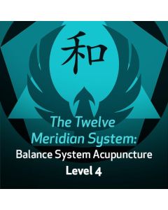 The Twelve Meridian System: Balance System Acupuncture - Level 4