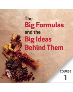 The Big Formulas and the Big Ideas Behind Them - Course 1