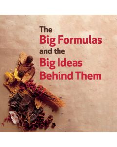 The Big Formulas and the Big Ideas Behind Them