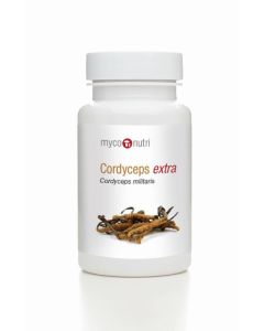 NEW MycoNutri Cordyceps EXTRA 60 capsules
