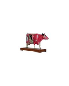 Animal Acupuncture Models - Cow