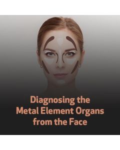 Diagnosing the Metal Element Organs from the Face