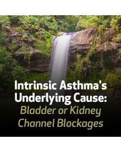 Intrinsic Asthma's Underlying Cause: Bladder or Kidney Channel Blockages