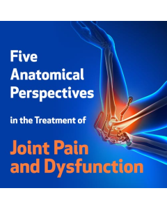 Five Anatomical Perspectives in the Treatment of Joint Pain and Dysfunction