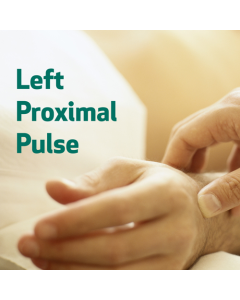 Left Proximal Pulse