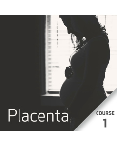 Placenta - Course 1