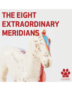 The 8 Extraordinary Meridians