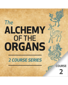 The Alchemy of the Organs - Course 2