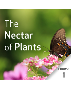 The Nectar of Plants: Essential Oils and Chinese Medicine Series - Course 1