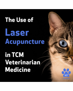 Use of Laser Acupuncture in TCM Veterinary Medicine