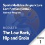 Sports Medicine Acupuncture Certification (SMAC) Webinar Program - Module II: The Low Back, Hip and Groin - Course 1