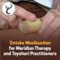 Ontake Moxibustion for Meridian Therapy and Toyohari Practitioners