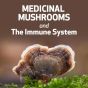 Medicinal Mushrooms and the Immune System