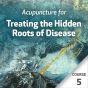 Acupuncture for Treating the Hidden Roots of Disease - Course 5