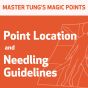 Master Tung's Magic Points: Point Location and Needling Guidelines Series