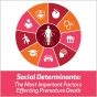 Social Determinants: The Most Important Factors Effecting Premature Death
